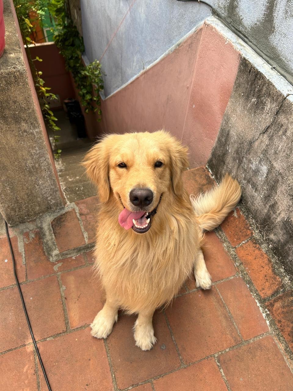 WhatsApp Image 2026-03-01 at 7.25.13 AM (1)