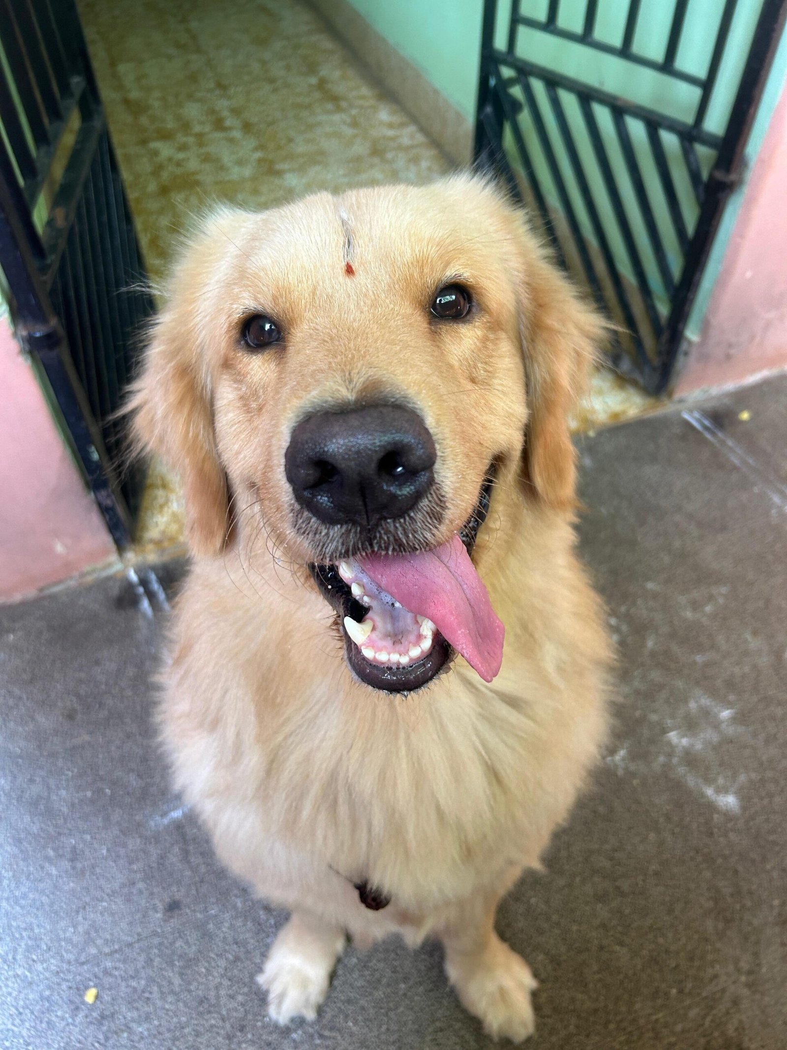 WhatsApp Image 2026-03-01 at 7.25.13 AM (2)