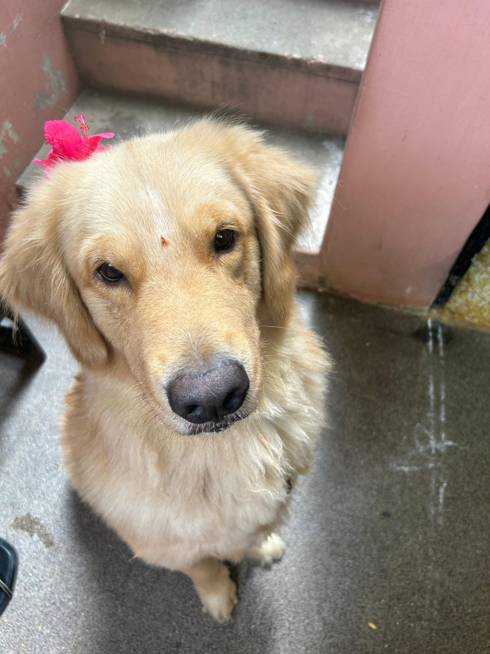 WhatsApp Image 2026-03-01 at 7.25.13 AM (3)