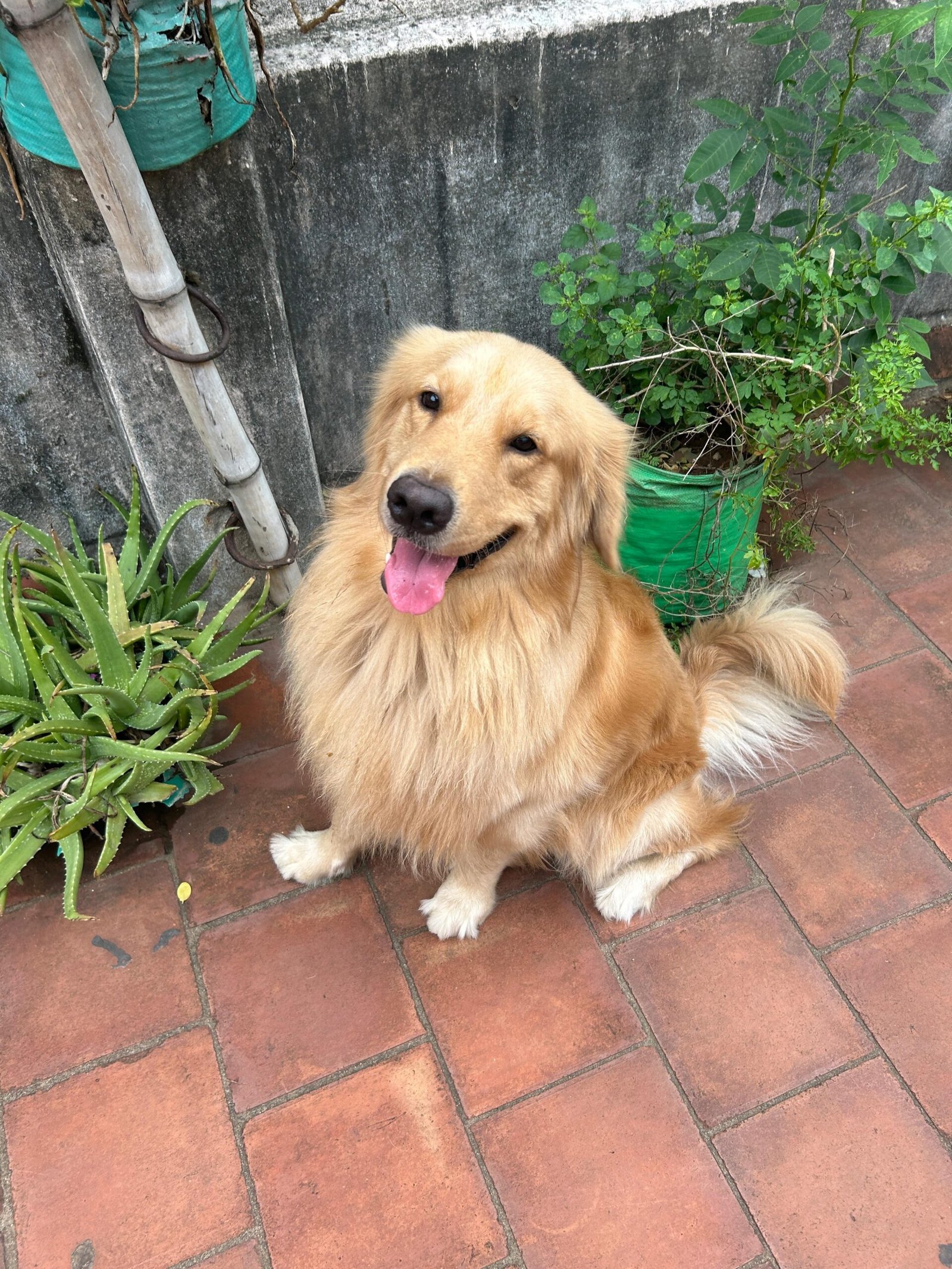 WhatsApp Image 2026-03-01 at 7.25.13 AM